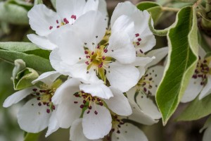 20150426-DSC_8910