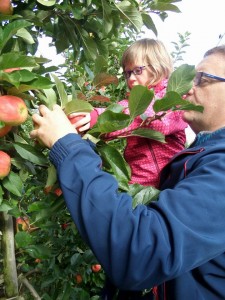 appelpluk dag